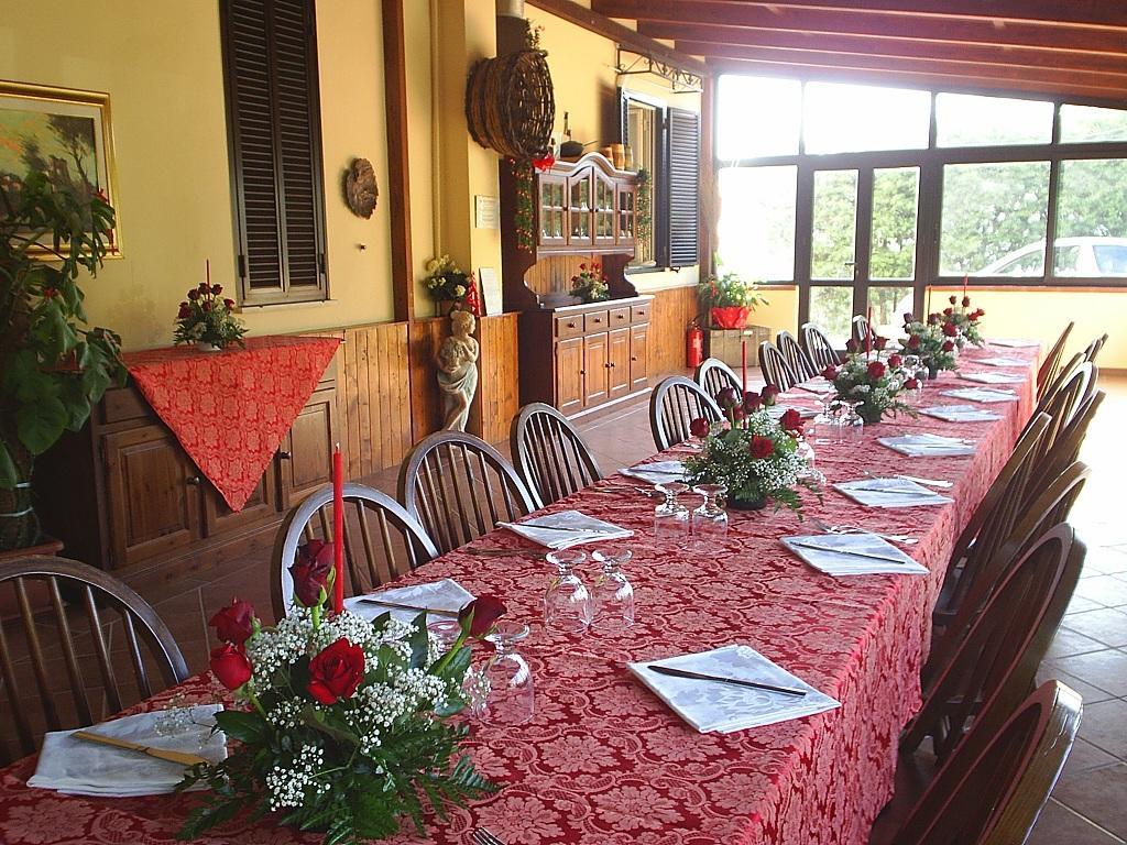 Agriturismo Aurella Ascea Εξωτερικό φωτογραφία